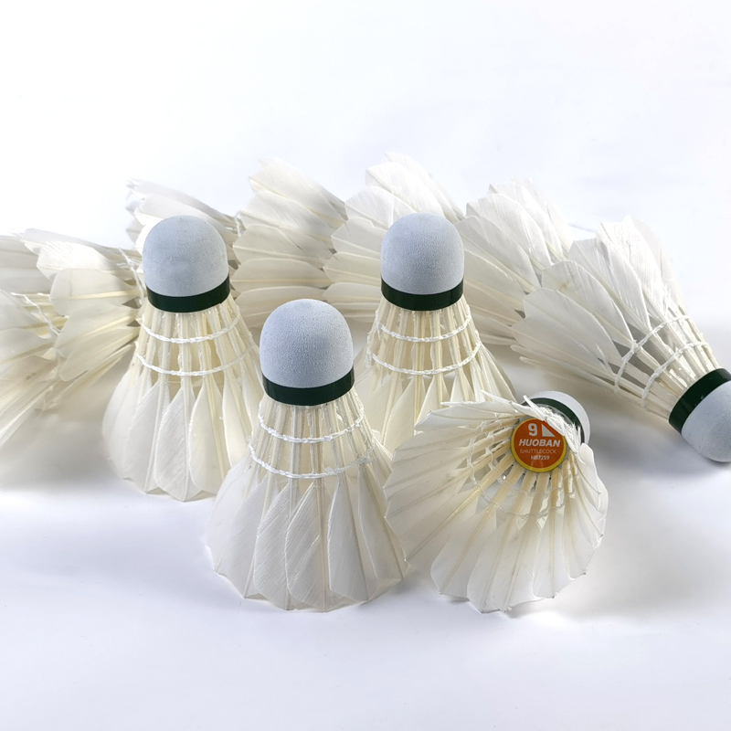 Badminton Etiquette The Unspoken Rules of the Court