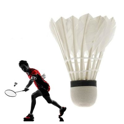 Goose feather ports training sports shuttlecocks (3)