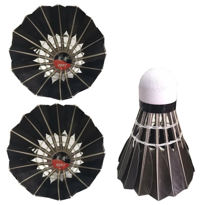 The Role of Shuttlecock Speed in Badminton Strategy