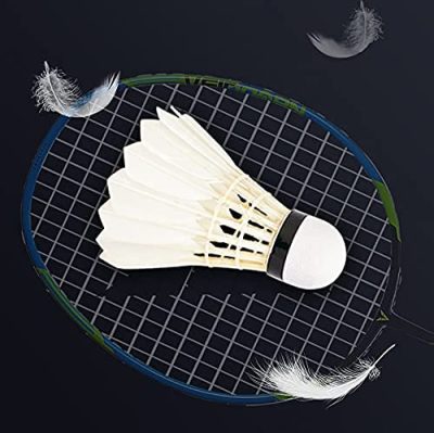 Promotional competition training club shuttlecocks (3)